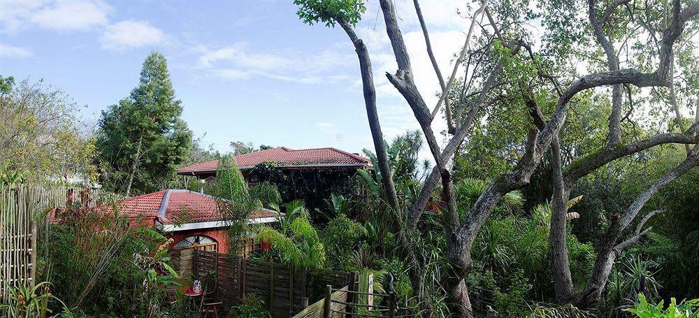 The Bamboo Lodge In Knysna Exteriér fotografie