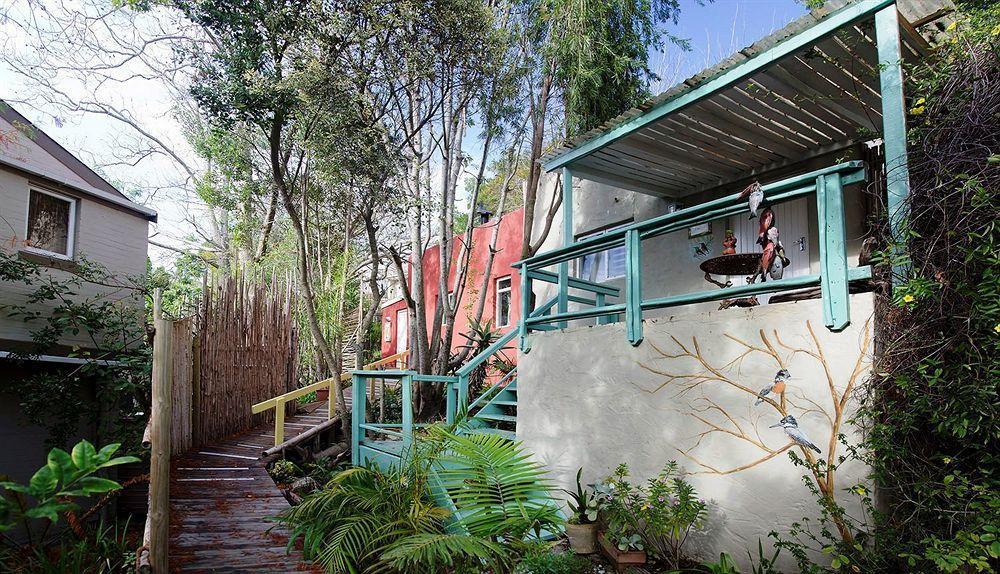 The Bamboo Lodge In Knysna Exteriér fotografie